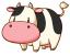 moocowmel