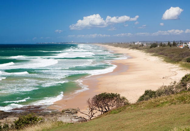 Little Rays of Sunshine… The Sunshine Coast