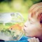 cheapest pets for kids