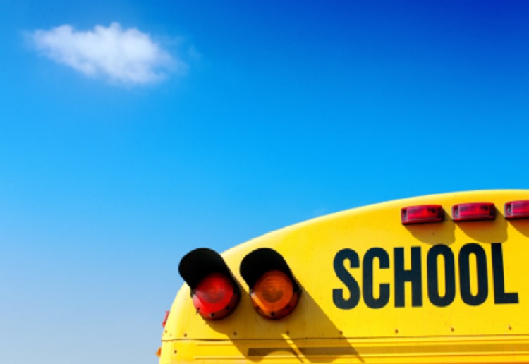 Coconut balls Real Recipes from Mums