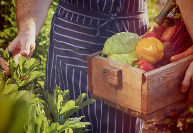 What makes a product truly organic? - Mouths of Mums